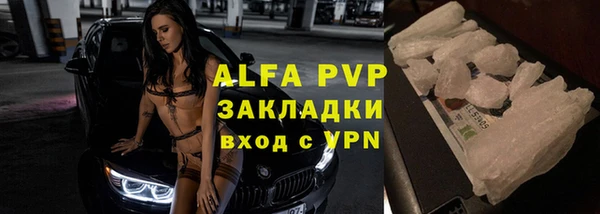 крисы Алексин