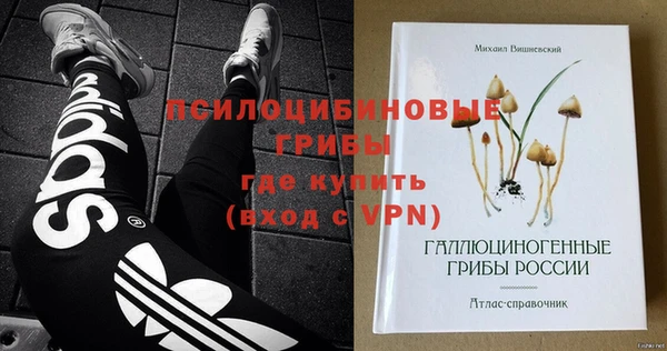 МДПВ Алзамай