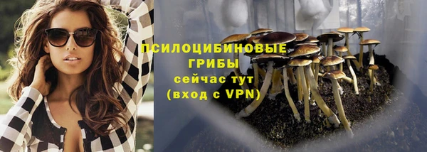 дмт Абинск