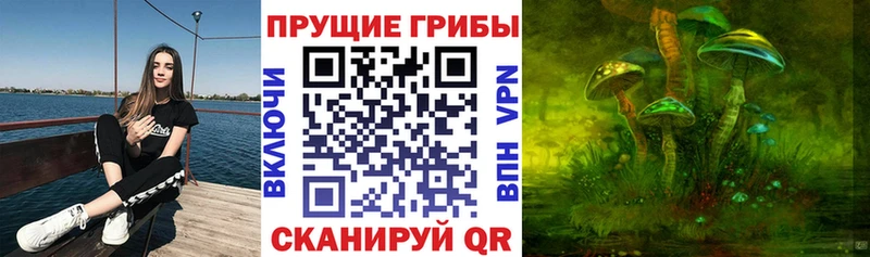 Псилоцибиновые грибы Magic Shrooms  hydra маркетплейс  Соликамск 