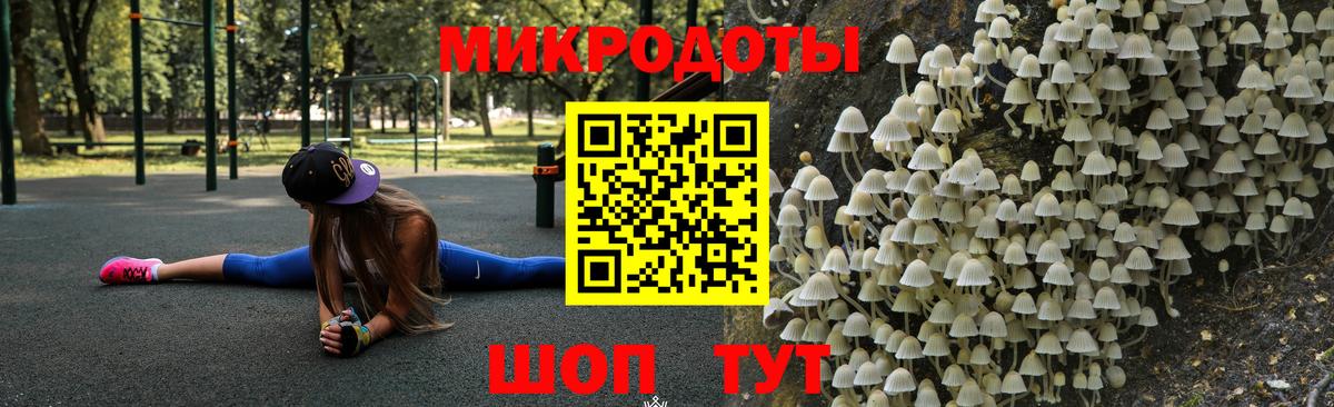 Псилоцибиновые грибы Cubensis Соликамск