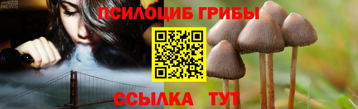 Псилоцибиновые грибы мицелий  Галлюциногенные грибы Psilocybine cubensis  Соликамск  Вход с VPN 